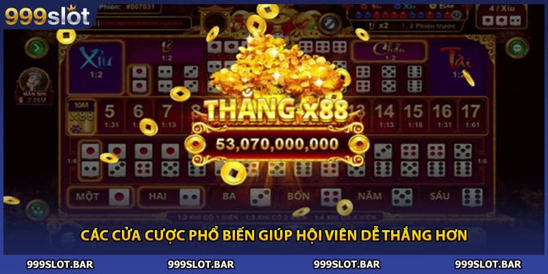 Bật mí cho newbie những mẹo cược cực kỳ dễ thắng