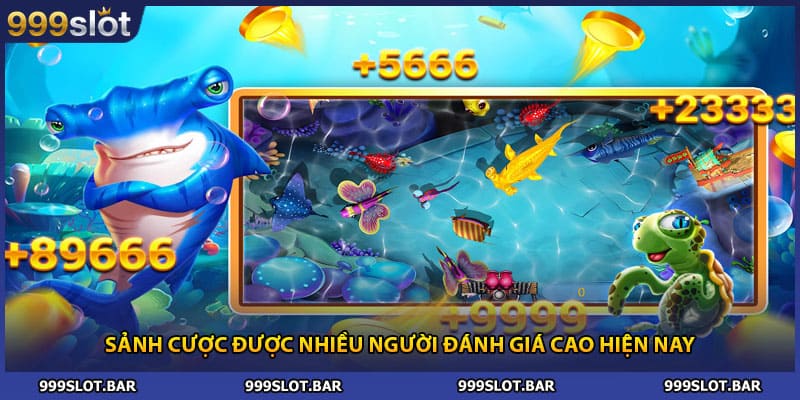 Sảnh cược được nhiều người đánh giá cao hiện nay