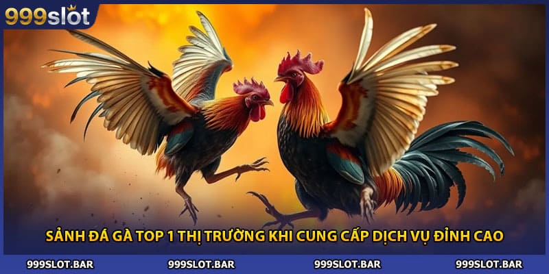 Sảnh đá gà top 1 thị trường khi cung cấp dịch vụ đỉnh cao