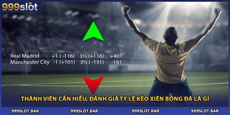 Thành viên cần hiểu, đánh giá tỷ lệ kèo xiên bóng đá là gì