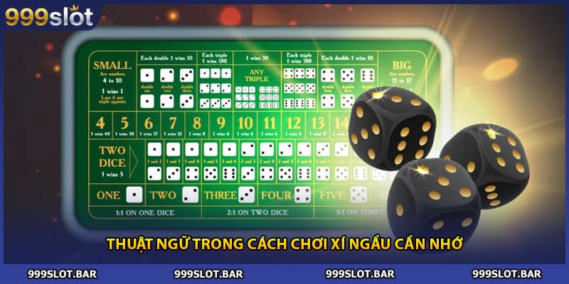 Thuật ngữ trong cách chơi xí ngầu cần nhớ