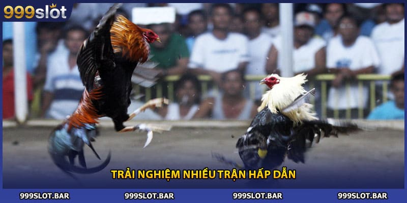 Trải nghiệm nhiều trận hấp dẫn